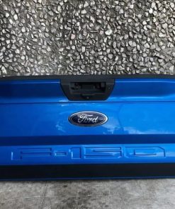 2015 2016 2017 Ford F150 Blue Tailgate with Step and Camera